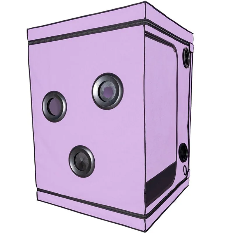 SECRET DOME - KINK CLUB CABINE SCANDALE PURPLE