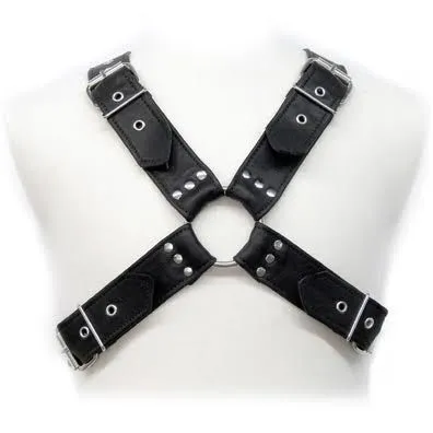 HARNAIS EN CUIR - BOUCLES