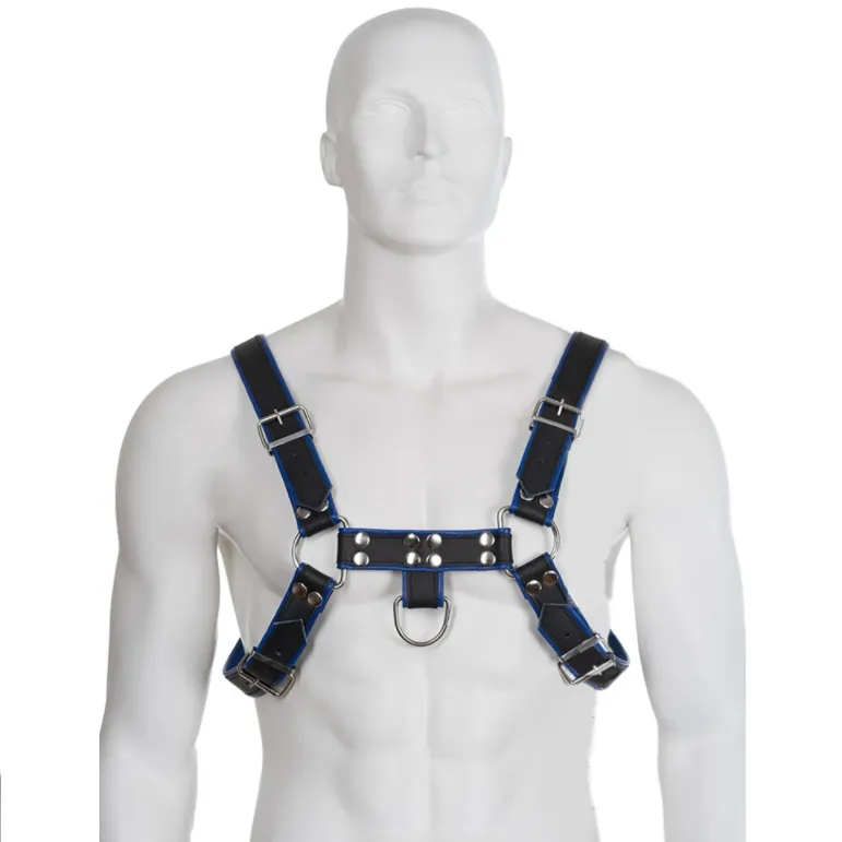 LEATHER BODY - HARNAIS EN CUIR BLEU ET NOIR POITRINE BULLDOG