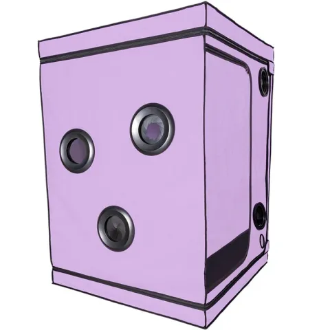 SECRET DOME - KINK CLUB CABINE SCANDALE PURPLE