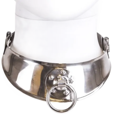 METAL HARD - COLLIER DE RETENUE EN AVEC ANNEAU