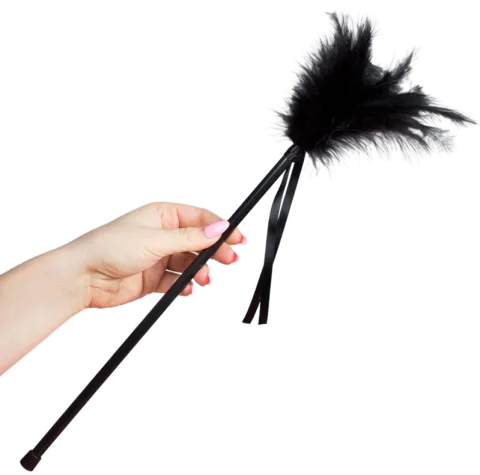 SECRETPLAY - PLUMES NOIRES 40 CM