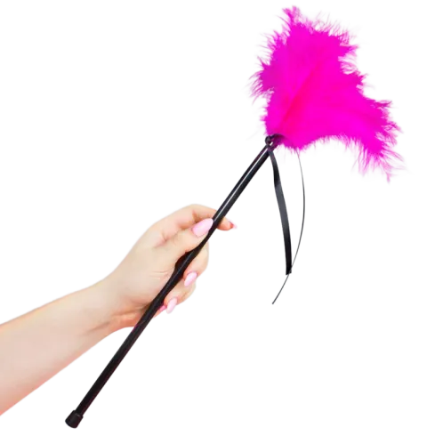 SECRETPLAY - PLUMES ROSE 40 CM